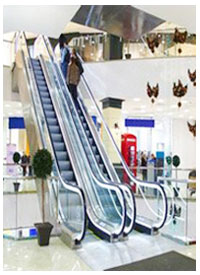 Thang Cuốn Nhập Khẩu
