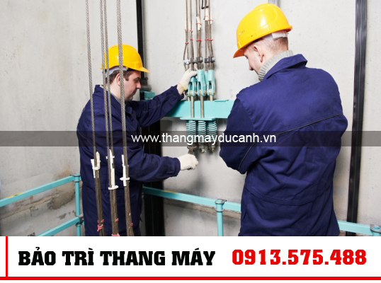 Bảo trì thang máy