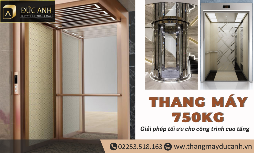 Bảng giá lắp đặt thang máy tải trọng 750kg đẹp tại Hà Nội