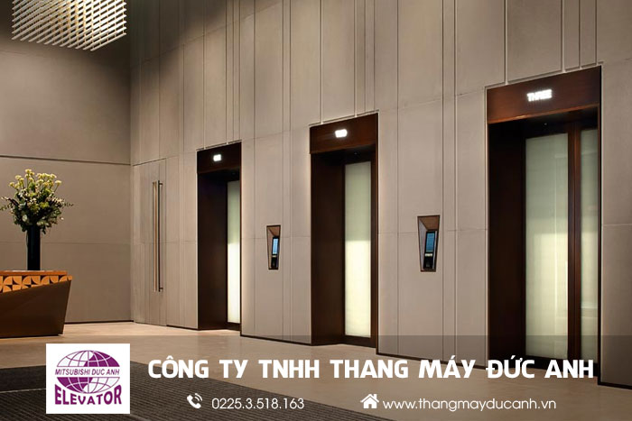 lắp đặt thang máy khách sạn tại cát bà