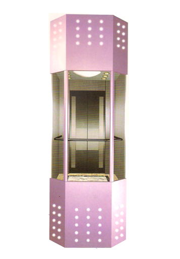 Thang máy lồng kính DA-532