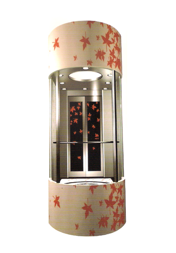 Thang máy lồng kính DA-537