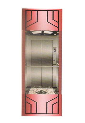 Thang máy lồng kính DA-542
