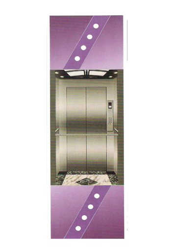 Thang máy lồng kính DA-543
