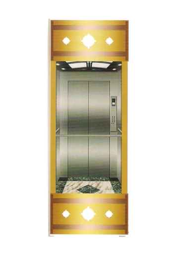 Thang máy lồng kính DA-546