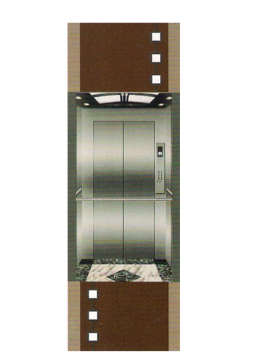 Thang máy lồng kính DA-549