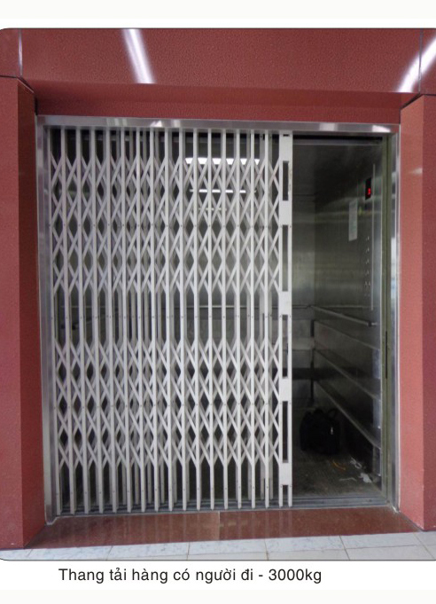 Thang máy tải hàng TM-TH03