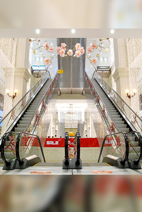 Thang cuốn nhập khẩu TC-06