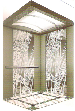 Thang máy tải khách DA-803-09