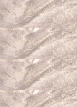 Màu vân gỗ C117