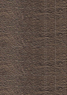 Màu vân gỗ C126