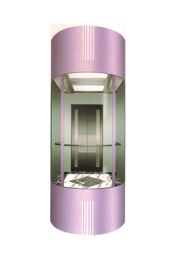 Thang máy lồng kính DA-522A